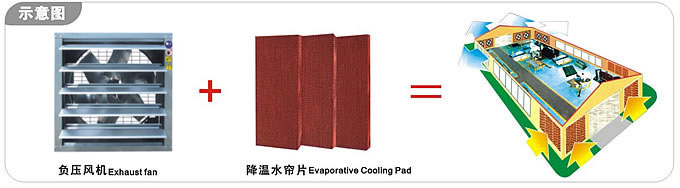 廣州廠房通風(fēng)降溫的方案、豪華形負(fù)壓風(fēng)機(jī)